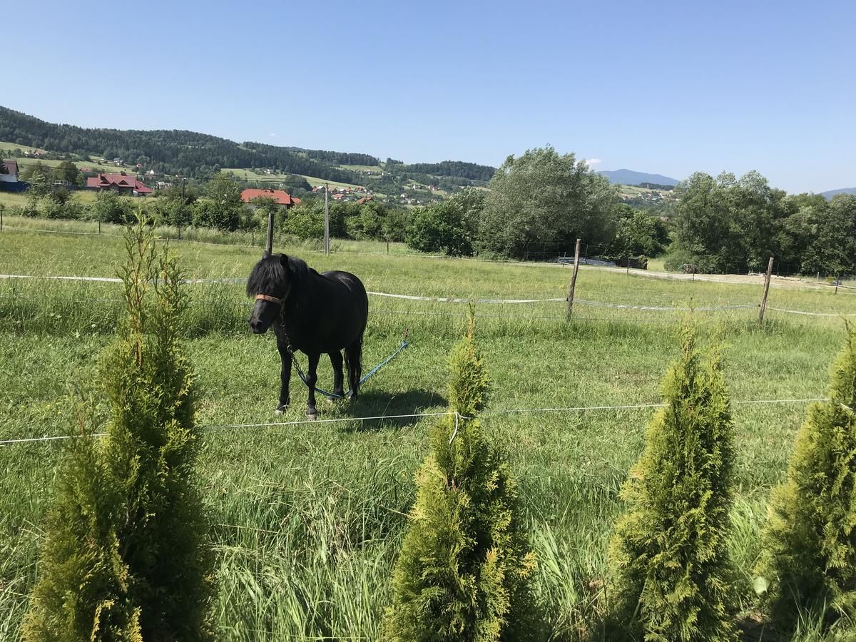 Лоджи Domki, apartament, pokój, Limanowa Лиманова